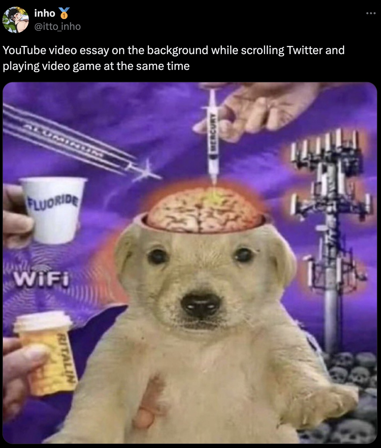 fluoride dog meme - inho YouTube video essay on the background while scrolling Twitter and playing video game at the same time Aluminum Fluoride WiFi Ritalin Mercury